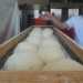La preparazione dell'impasto del pane di Altamura: il marchio Dop  arrivato nel 2003 